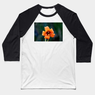 Tiger Lily Baseball T-Shirt